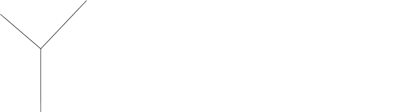 Logo Velvedet